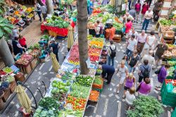 Il Mercado dos Lavradores è il più famoso mercato della città di Funchal (Madeira), visitato dai turisti e frequentato anche dalle persone del posto - foto © T.W. van ...