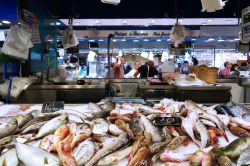 Il mercato de L'Olivar a Palma di Maiorca, isole Baleari, Spagna. Questo bel mercato aperto al pubblico nel 1951 si trova nel cuore della città, in Plaza del Olivar 4 fra Plaza Espana ...