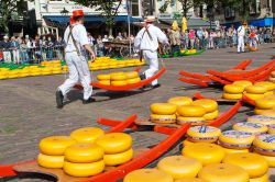 Il mercato del formaggio di Alkmaar Olanda, con i tradizionali portatori - Sebbene il gouta sia ormai diffuso praticamente in tutto il mondo, non bisogna dimenticare che la sua nascita non solo ...