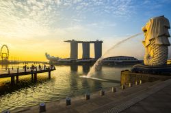 Il Merlion, la celebre statua con testa di leone e corpo di pesce, è una delle principali attrazioni di Singapore. Disegnata per l'ufficio del turismo nel 1964 da Fraser Brunner ed ...