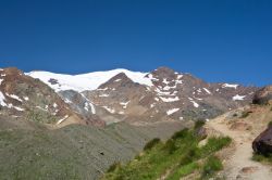 Il monte Cevedale fotografato da un prato della valle di Pejo, Parco Nazionale dello Stelvio, Trentino Alto Adige. Si trova nelle Alpi Retiche meridionali ed la terza vetta più alta del ...