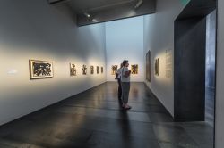 Il museo  Soulages a Rodez, Midi Pyrenees, Francia - © Anibal Trejo / Shutterstock.com