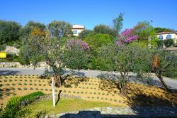 Il Museo del Profumo di Fragonard a Grasse, Provenza (Francia), con il suo giardino - © EQRoy / Shutterstock.com