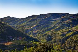Il paesaggio collinare intorno a COssan Belbo in Piemonte