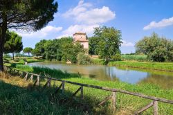 Il paesaggio del parco del Delta del Po a Mesola, Torre Abate (Emilia-Romagna).
