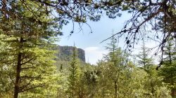 Il paesaggio del Montarbu una zona ricca di scorci naturali nei dintorni di Ussassai in Sardegna