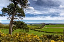 Il paesaggio del Northumberland con il villaggio e il Castello di Bamburgh 