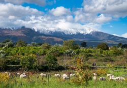 Il paesaggio del vulcano Etna innevato dalla campagne ad ovest di Aci Catena in Sicilia