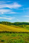 Il paesaggio delle campagne del Valdarno, vicino a Castelfranco di sopra