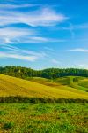 Il paesaggio delle campagne del Valdarno, vicino a Castelfranco di sopra