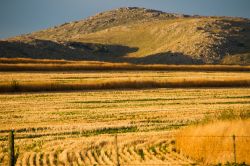 Il paesaggio delle Pampas nei dintorni di Tandil, Argentina