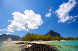 Il paesaggio lagunare di Le Morne Brabant: la penisola di Le Morne Brabant, terra selvaggia dall'affascinante bellezza, è circondata da una laguna di acqua bassa e cristallina, particolarmente ...