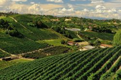 Il paesaggio magico del Roero in Piemonte