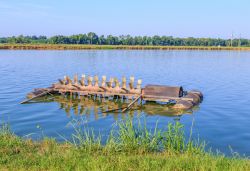 Il paesaggio piatto di Selma e un allevamento ittico dell'Alabama - © Mccallk69 / Shutterstock.com