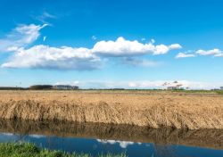 Il paesaggio rurale intorno a Breme, Lombardia. Siamo alla conflenza del Sesia con il Po, nella regione storica della Lomellina