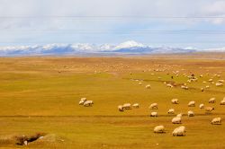 Il paesaggio sconfinato lungo la strada che collega Xining con Golmud in Cina