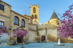 Il Palazzo dei Re di Navarra a Olite (Spagna) con gli alberi fioriti in primavera. 

