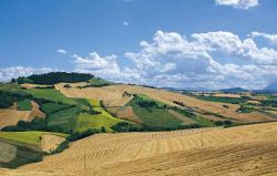 Il panorama delle colline intorno a Mogliano, nelle Marche - © turismo.comune.mogliano.mc.it