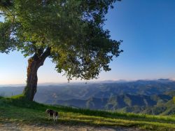 Il panorama sconfinato che si ammira verso est dall'Altopiano di Monte Romano, Comune di Brisighella, Emilia-Romagna