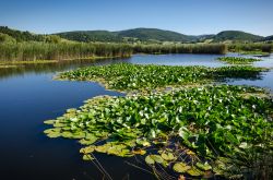 Il Parco di Colfiorito in Umbria, non lontano da Foligno