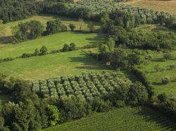 Il Parco Naturale di Manerba del Garda come si può ammirare dalla Rocca di Manerba - © Michele Buzzi / Shutterstock.com