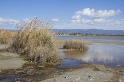 Il Parco naturale Molentargius in Sardegna e la costa del Poetto vicino a Quartu Sant Elena