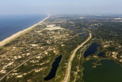 Il Parco Nazionale delle Dune Olandesi vicino a L'Aja sulla costa dell'Olanda.