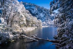 Il Parco Nazionale Huerquehue innevato, Pucon, Cile. Comprende un'area di 125 chilometri quadrati di terreno montuoso e ha un'altitudine che varia da 720 a 2000 metri. Istituito ufficialmente ...