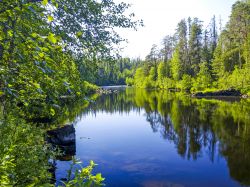 Il Parco Nazionale Oulanka in Finlandia, fotografato in estate