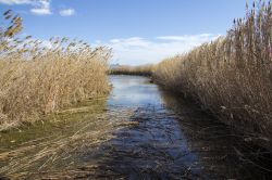 Il Parco Regionale Molentargius nel sud della Sardegna