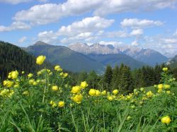 Il Passo Brocon in primavera a Castello Tesino, Trentino Alto Adige. Foto Albergo Passo Brocon Archivio APT Valsugana Castello Tesino