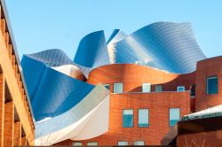 Il Peter B. Lewis Building a Cleveland, Ohio, USA: disegnato dall'architetto Frank Gehry, si trova nel campus della Case Western Reserve University - © Kenneth Sponsler / Shutterstock.com ...