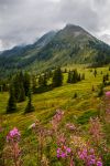 Il picco Krahberzinken (2134m) nei pressi di Planai, Schladming, Austria.
