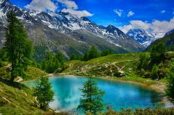 Il pittoresco Lac Bleu vicino ad Arolla, Svizzera. Il lago si trova nell'alta Valle d'Hérens a 2090 metri di altitudine circondato da larici, cembri, marmotte e camosci. Il colore ...