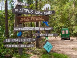 Il Platypus Bush Camp National Park a Finch Hatton Gorge, Mackay, Australia. In questo angolo di foresta pluviale, dove si possono ammirare molte specie di flora e fauna locale, è di ...