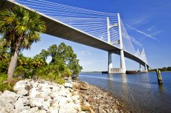 Il ponte di Dames Pointsul fiume Saint John's River a Jacksonville in Florida