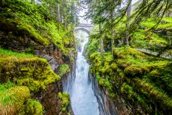 Il ponte di Pont d'Espagne a Cauterets, Pirenei, Francia. Un pittoresco paesaggio naturale autunnale con muschio e alberi verdi.
