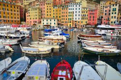 Il porticciolo di Camogli - la cittadina marinara di Camogli è famosa in tutta la Liguria, e non solo, per lo splendore del mare, del promontorio di Portofino e della natura circostante, ...