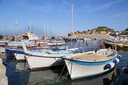 Il porto cittadino il piu importante dell'Isola del GIglio in Toscana - © trotalo / Shutterstock.com