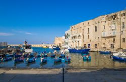Il porto della cittadina pugliese di Monopoli, provincia di Bari. Qui, di fronte a vecchi palazzi, sono ormeggiate le tradizionali barche da pesca in legno - © ValerioMei / Shutterstock.com ...