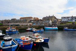 Il porto di Seahouses, Northumberland, Inghilterra. Il porto è stato costruito nel 1889 per facilitare le attività legate alla pesca. La cittadina è anche il luogo di villeggiatura ...