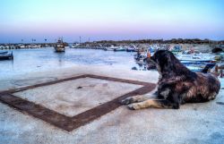 Il Porto di Selinunte, siamo nel territorio di Castelvetrano (Sicilia)