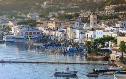 Il porto e il borgo di Lacco Ameno all'alba, Ischia. Questa località si trova sulla costa settentrionale dell'isola , a circa metà strada tra Casamicciola Terme e Forio ...