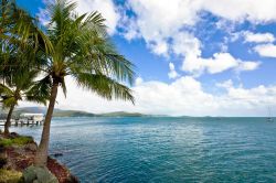 Il porto nei pressi di Airlie Beach a Mackay, Australia. Palme e acqua cristallina: siamo nel nord del Queensland in un vero e proprio paradiso tropicale.
