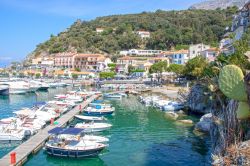 Il porto turistico di Maratea sulla costa tirrenica della Basilicata - © lauradibi / Shutterstock.com