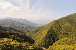 Il principale massiccio verde dell'isola di Yakushima con la città di Miyanoura sullo sfondo, Giappone. Una bella veduta dalla strada per lo Shiratani Unsuikyo Ravine Park.
