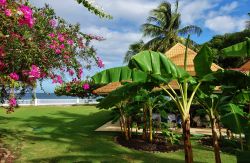 Il Radisson Grenada Beach Resort a St.George's, Grenada. Si trova sulla famosa Grand Anse Beach, una delle più prestigiose al mondo. Il Radisson è una filiale del Carlson Rezidor ...