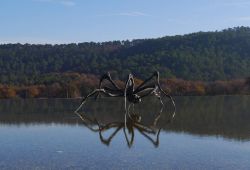 La scultura del Ragno di Bourgeois presso il Chateaux La Coste in Provenza