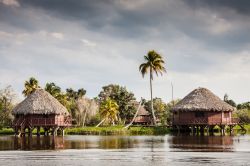 Il resort Villa Guamà è costruito su una serie di isole nelle acque della Laguna del Tesoro (Ciénaga de Zapata, Cuba).