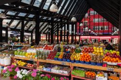 Il rinnovato Pazar i Ri nel cuore di Tirana, Albania. Qui si possono trovare frutta e verdura fresche di ogni tipo  - © Giovanni Vale / Shutterstock.com